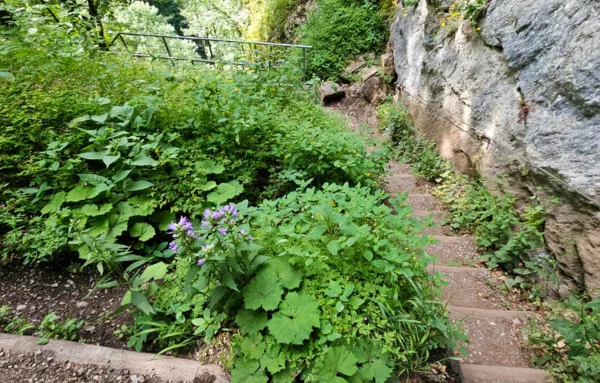 Wandern in der Starzlachklamm